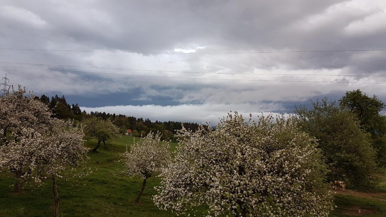 Ferienwohnungen Klimbacher Wolfsberg Dış mekan fotoğraf