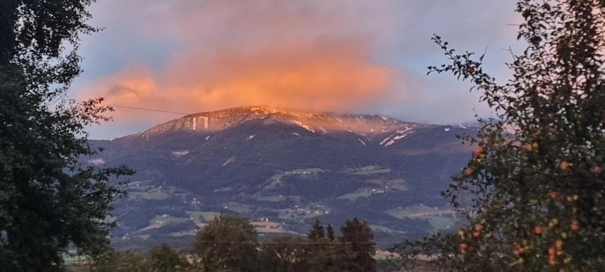 Ferienwohnungen Klimbacher Wolfsberg Dış mekan fotoğraf