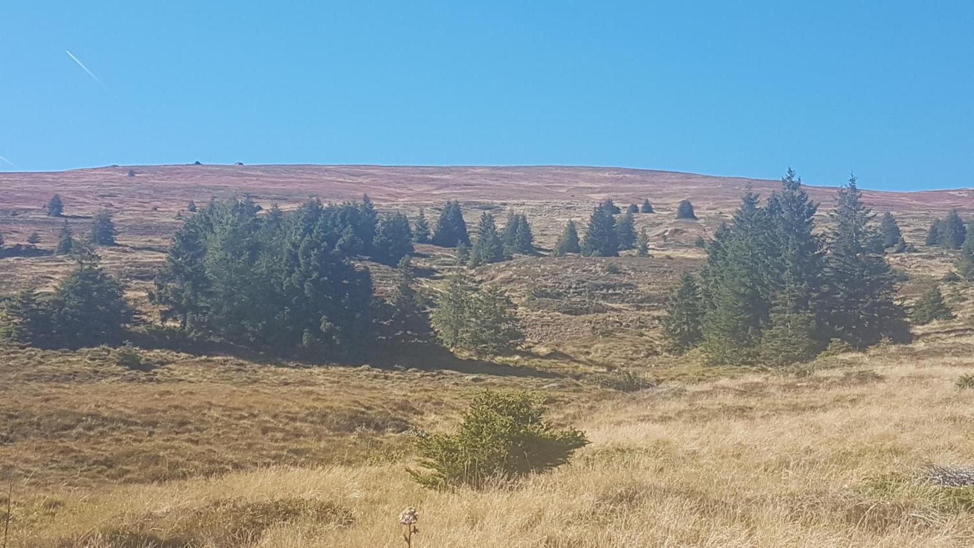 Ferienwohnungen Klimbacher Wolfsberg Oda fotoğraf