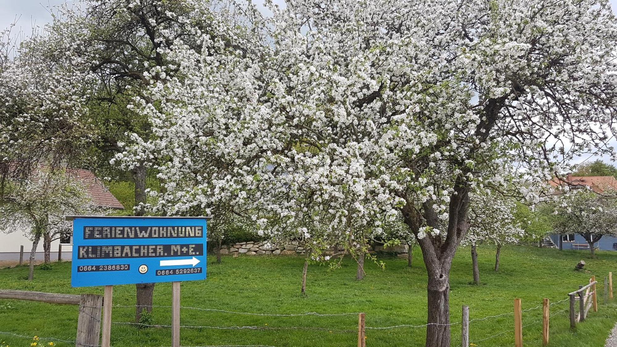 Ferienwohnungen Klimbacher Wolfsberg Oda fotoğraf